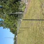 Electric Fencing