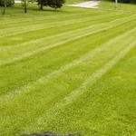 lawn mowing