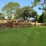 Tree Trimming/Removal