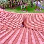 Years of Mold and Algae GONE!