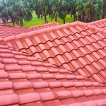 Years of Mold and Algae GONE!