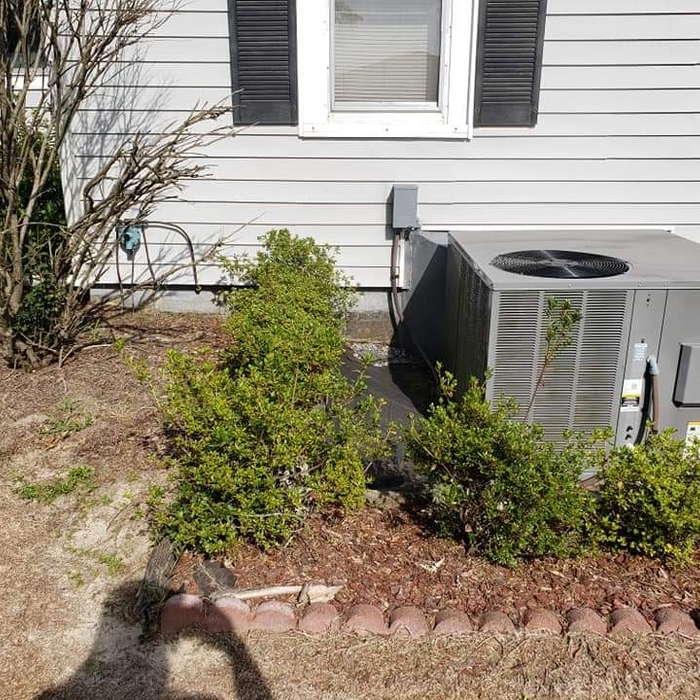 Shrub trimming