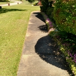 Walkway