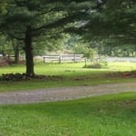 My front yard