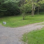 My side yard leading to my barn