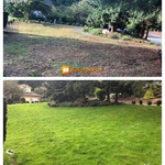 Lawn Renovation Works