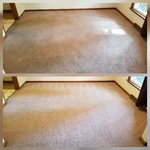 Carpet Cleaning