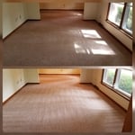 Carpet Cleaning