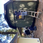 Landscaping & painting