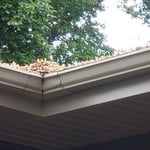 Clogged gutters!!!
