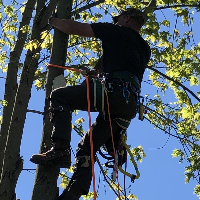 Pride in the climb