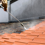 Black algae roof cleaning