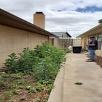 weed removal