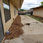 weed removal, leaf cleanup