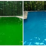 #green2clean