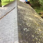 Roof treatment