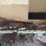 mold remediation
