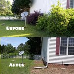 Youngsville, NC Property