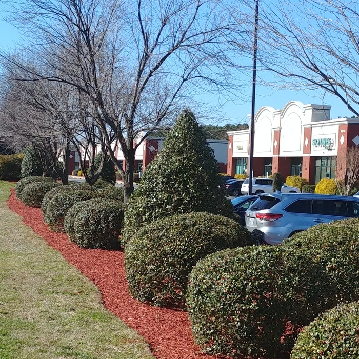Commercial Property