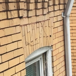 fallen arches