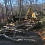 Danger Tree Lake job