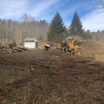 Cleaning up the brush