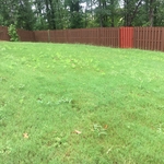 New Client Before