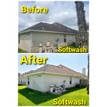 Roof and Fence Soft Wash