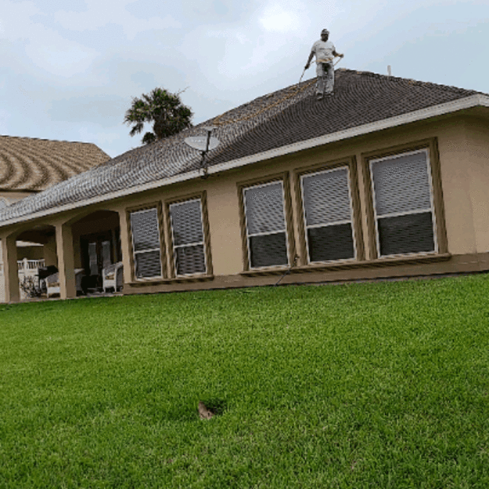 Roof Soft Wash