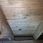 Mold