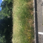 Medford areas