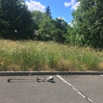 Medford areas