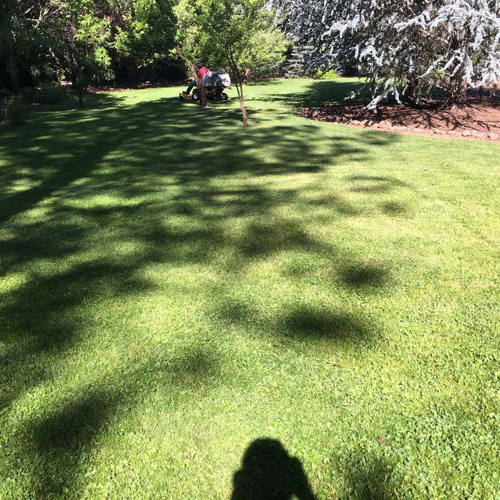 Medford areas