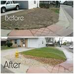 Sprinkler, sod and river rock install
