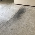 stain removal