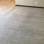 stain removal