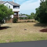 AFTER mulch + cut