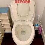 Nasty toilet?