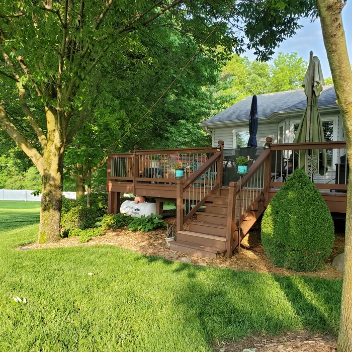 Spring trim and cleanup