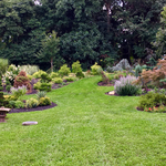View from the patio