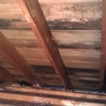 Attic-before-Shock dr.