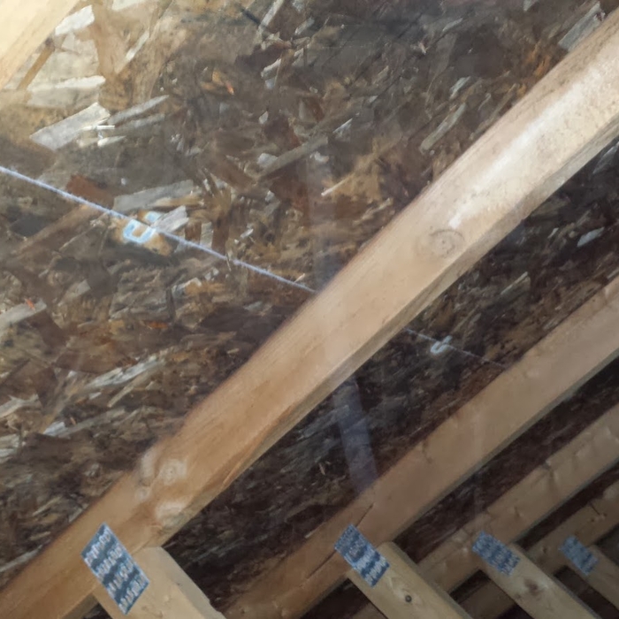 Attic Mold - Before