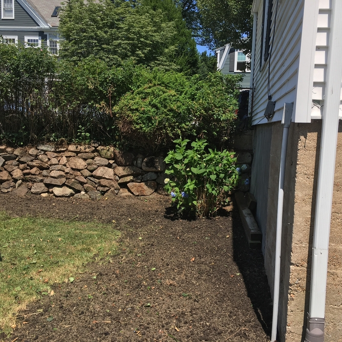 Spring clean up 