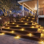 Back Deck and Steps