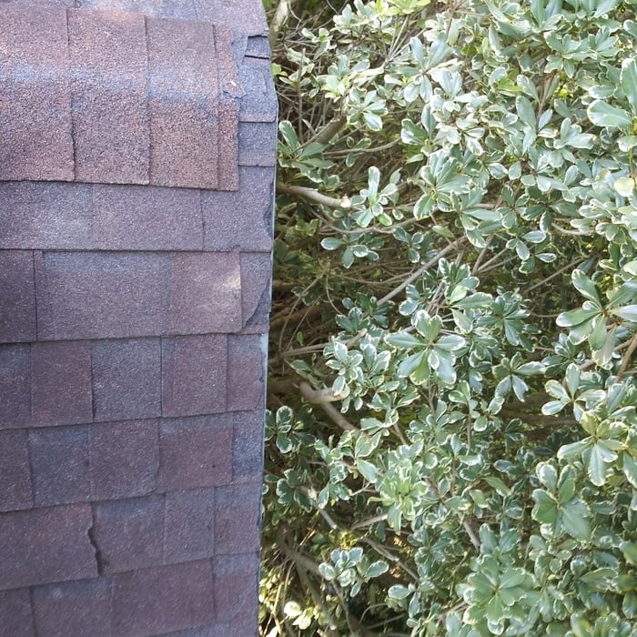 Before and after pics