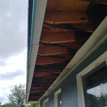 bad wood