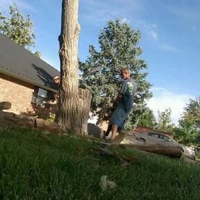 Tree contracts
