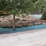 Home owners new hydroseed