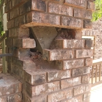 Replace spalded brick