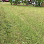 Lawn Care